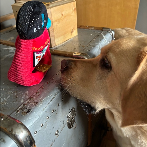 NWT Barkbox Dog toy. - Picture 5 of 6